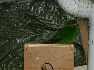 P1000051.JPG