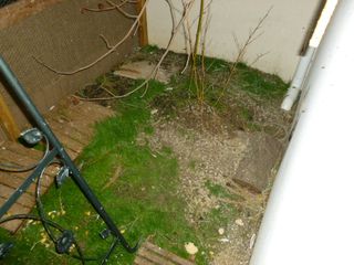 P1000052.JPG