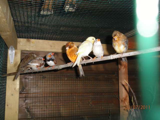 P7200056_PhotoRedukto.jpg