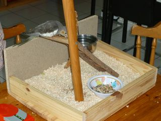 P1000155.JPG