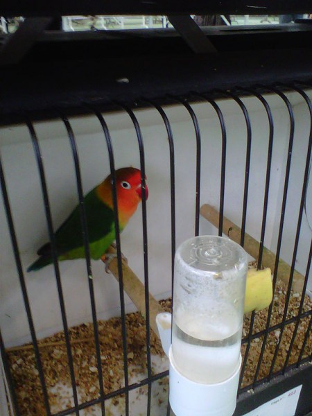 IMG00445-20111030-1439_opt.jpg