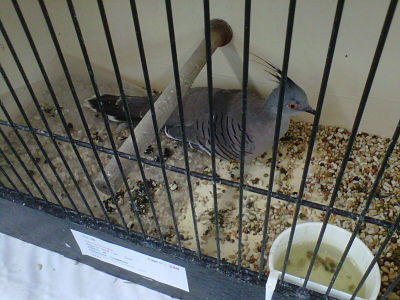 IMG00466-20111030-1444_opt.jpg