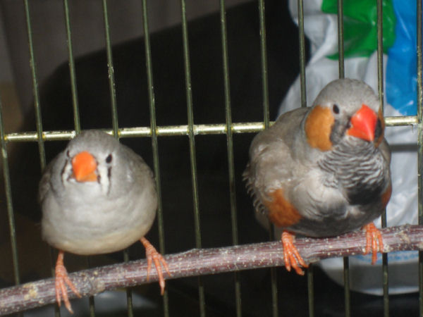 couple MM.jpg