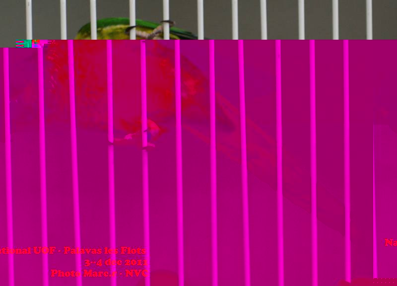 048.jpg