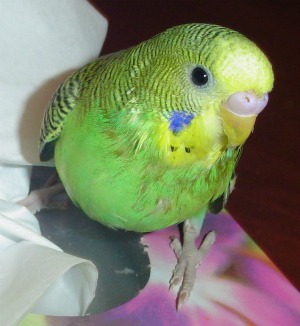 5 jan 0041.jpg