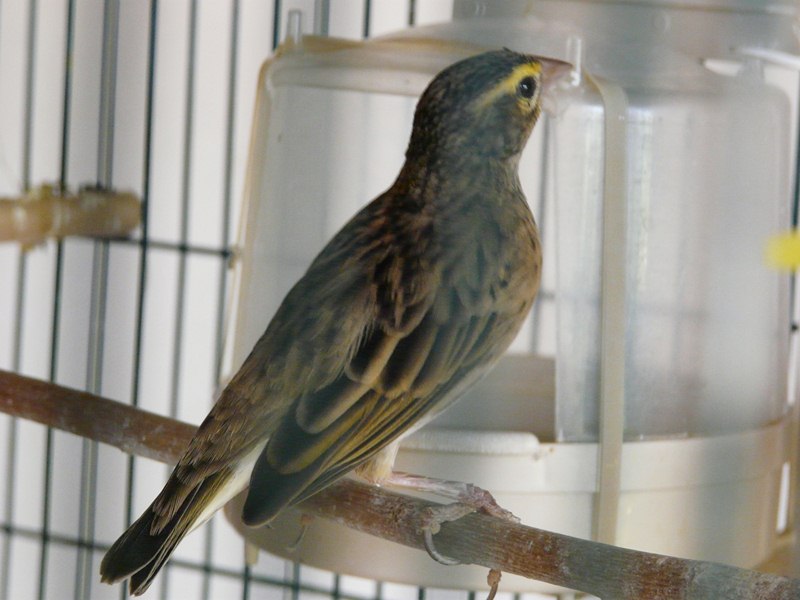 P1220295 (Copier).JPG