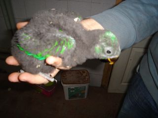 DSC02558.JPG