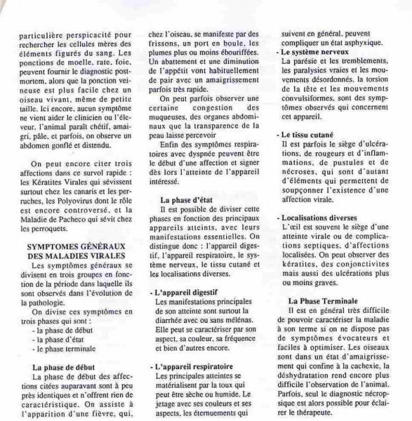 10- (29).jpg