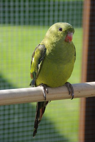 IMGP21160.jpg