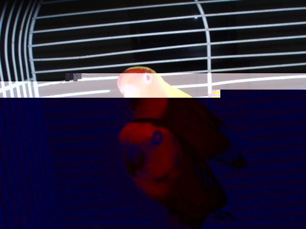 p9080010 NVC.jpg