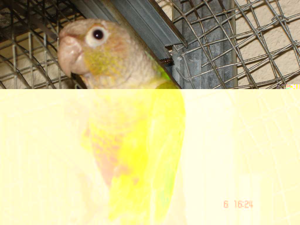 DSC01815 1.jpg