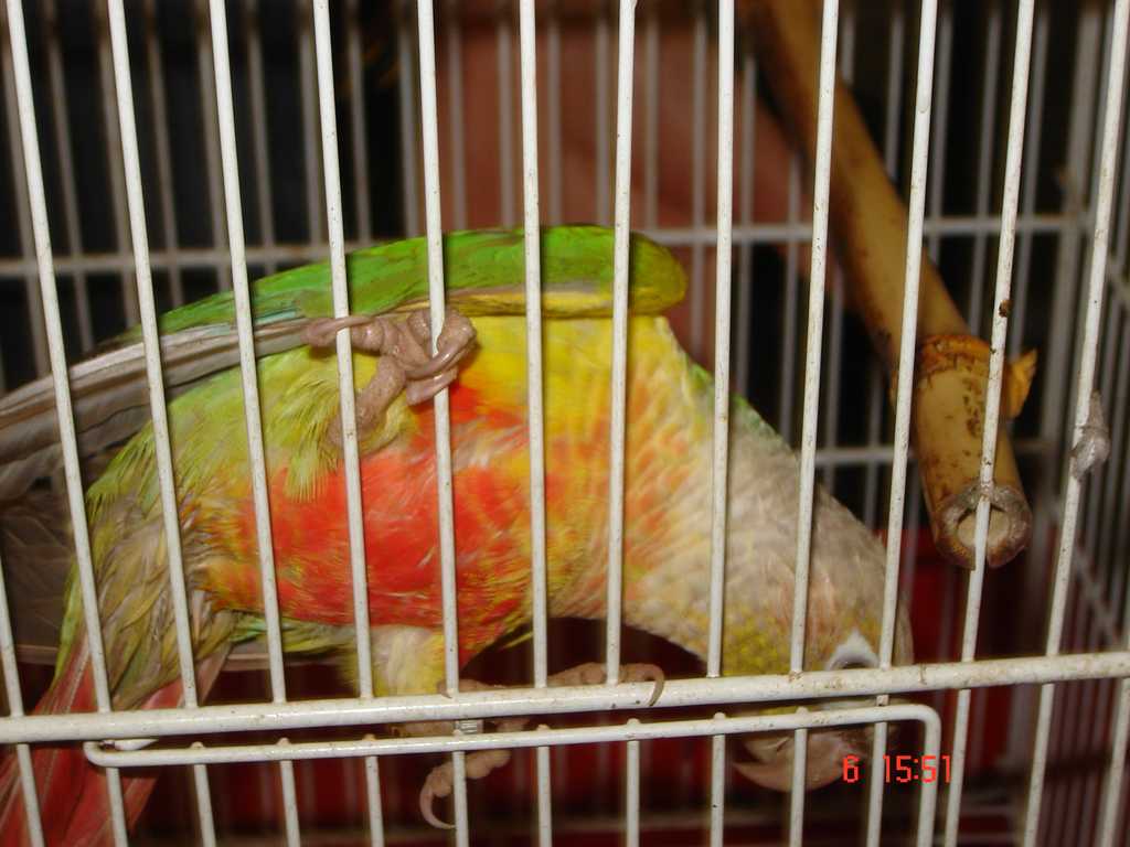 DSC01803 6.jpg