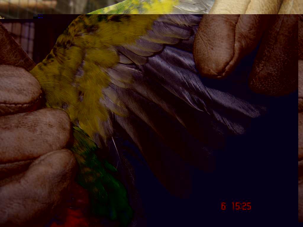 DSC01791 3.jpg