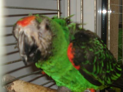 DSC04139.JPG