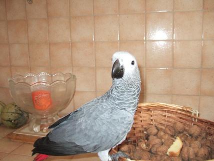 DSCF1180.JPG