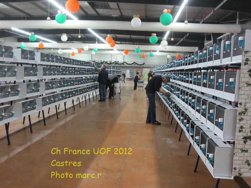 castres_hall_becdroits_3_7.jpg