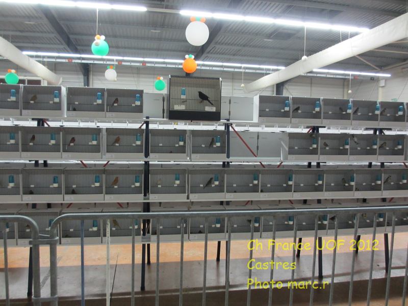 castres_hall_becsdroits_4_3.jpg