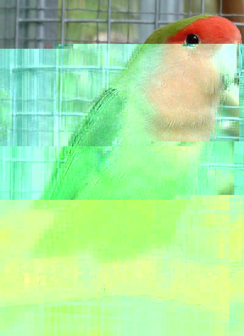 P1200151n.jpg