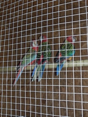 20130613_161633.jpg