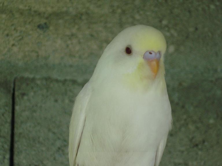 2013 1.jpg