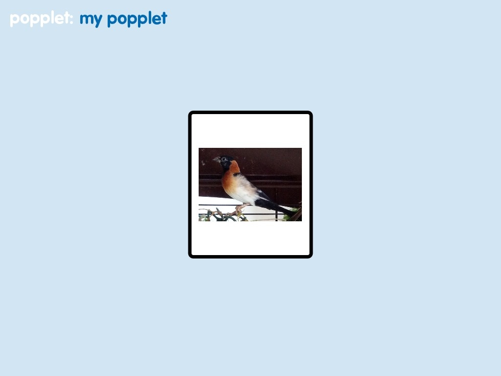 image.jpg