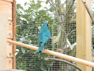 DSCN0846.JPG