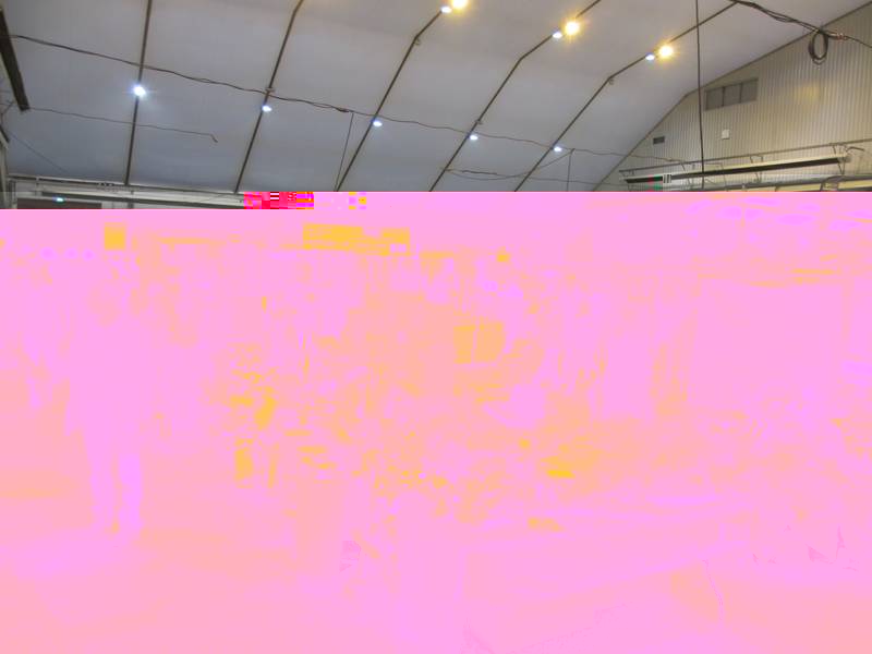 031.JPG