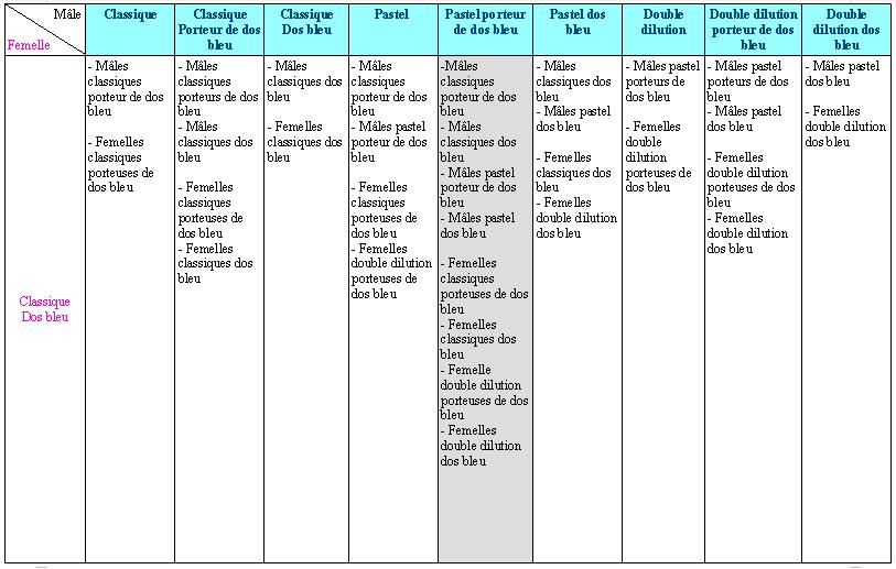 P3.JPG