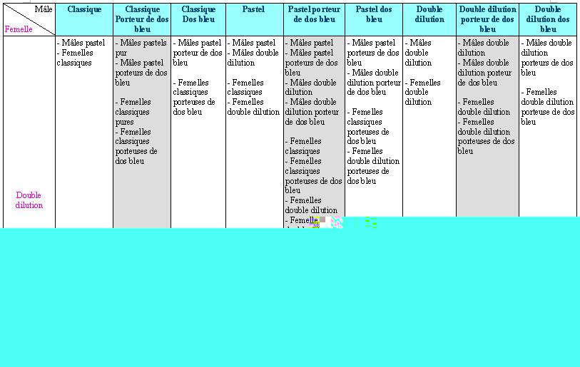 P4.JPG