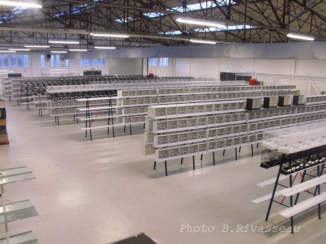 DSCF0962.jpg