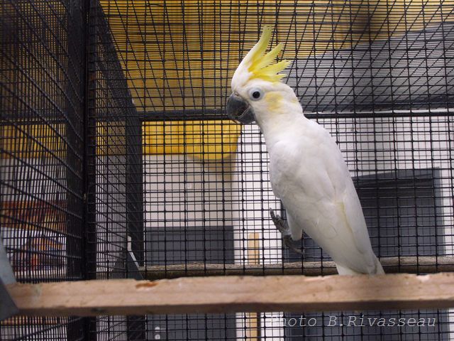 DSCF0996.jpg
