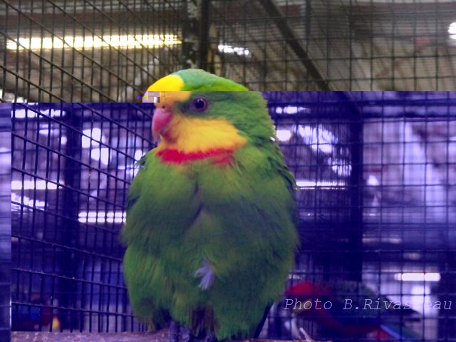 DSCF1032.jpg