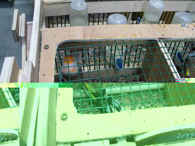 DSCF1223.jpg