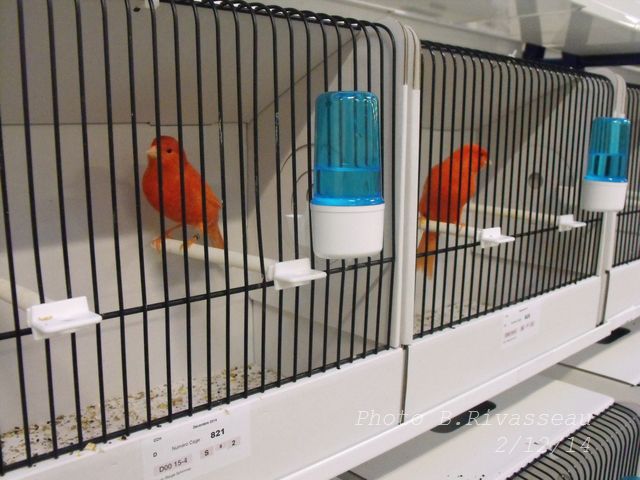 DSCF1260.jpg