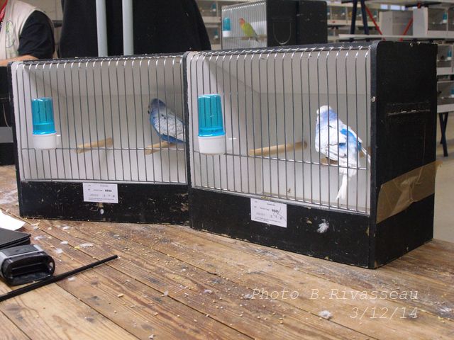 DSCF1285.jpg