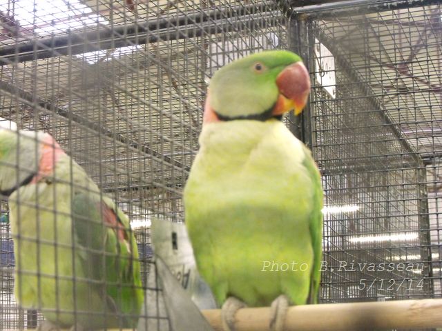 DSCF1481.jpg