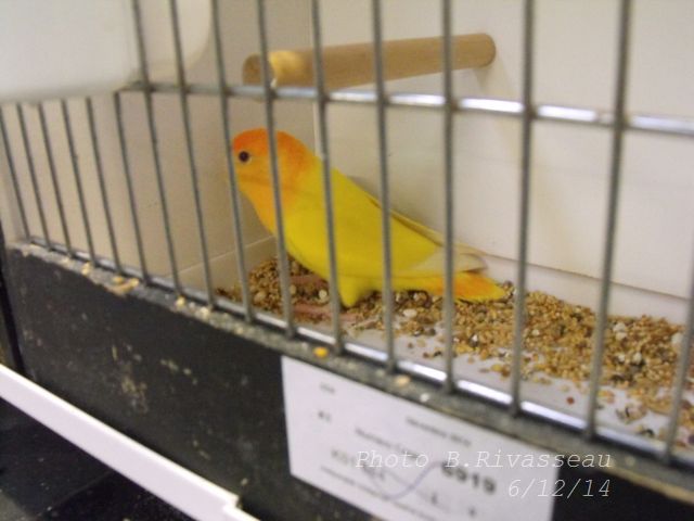 DSCF1331.jpg
