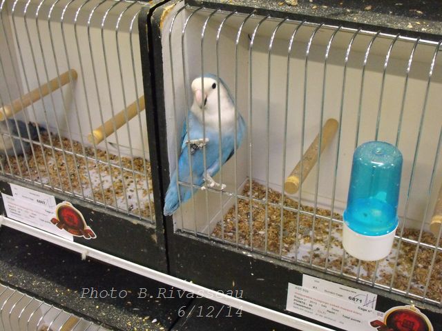 DSCF1550.jpg