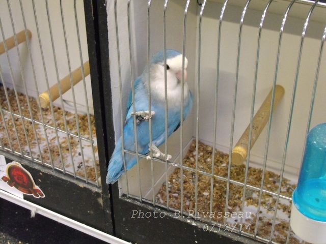 DSCF1551.jpg