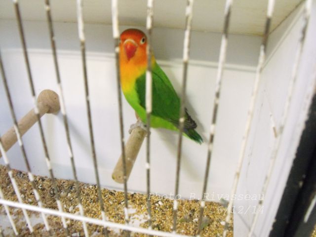 DSCF1580.jpg