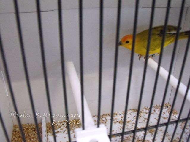 DSCF1202.jpg