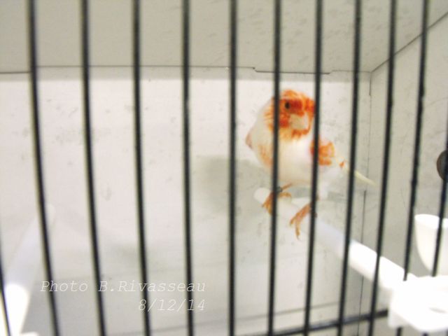DSCF1264.jpg