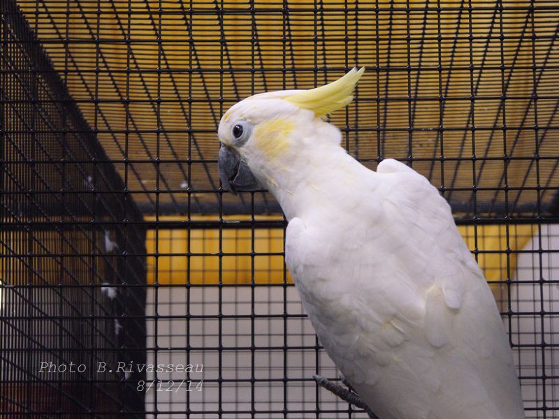 DSCF0997.jpg