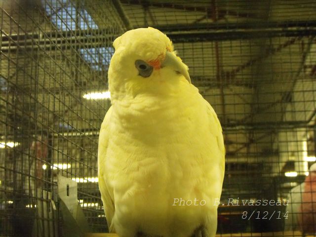 DSCF1275.jpg