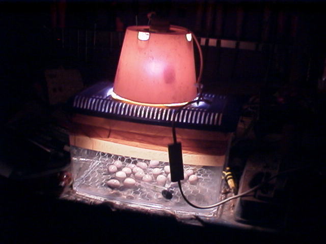 RIM00151.JPG