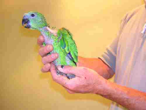 FOTO 3.jpg