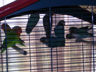 DSCN1648.jpg