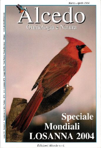 alcedo-marsavril04.jpg
