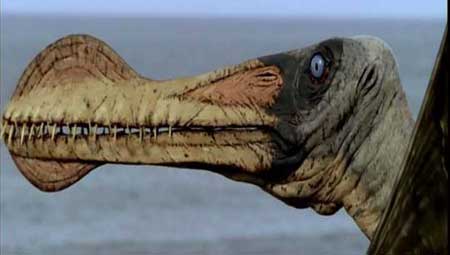 qui.jpg