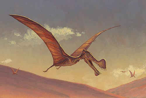 tropeognathus 1.jpg